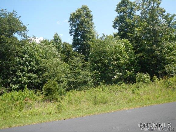 Lot 91 Cross Ridge Drive, Unit 91 Rutherfordton, NC 28139 - Photo 8 of 9