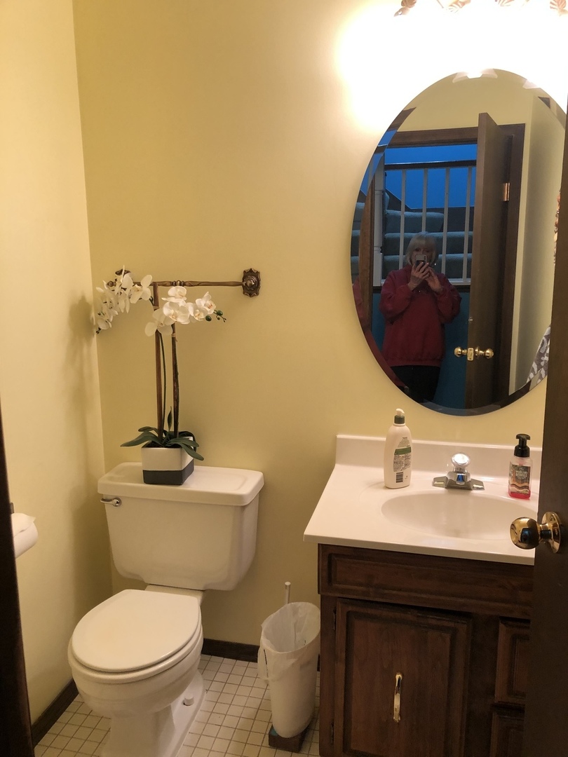 389 Hilton Drive Glendale Heights, IL 60139 - Photo 17 of 27