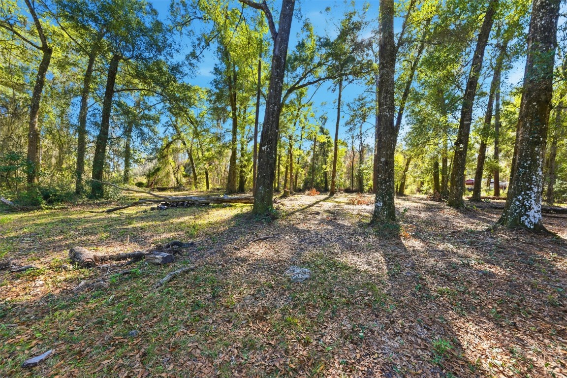Pages Dairy Road Yulee, FL 32097 - Photo 2 of 11 a view of tree with tree in the background