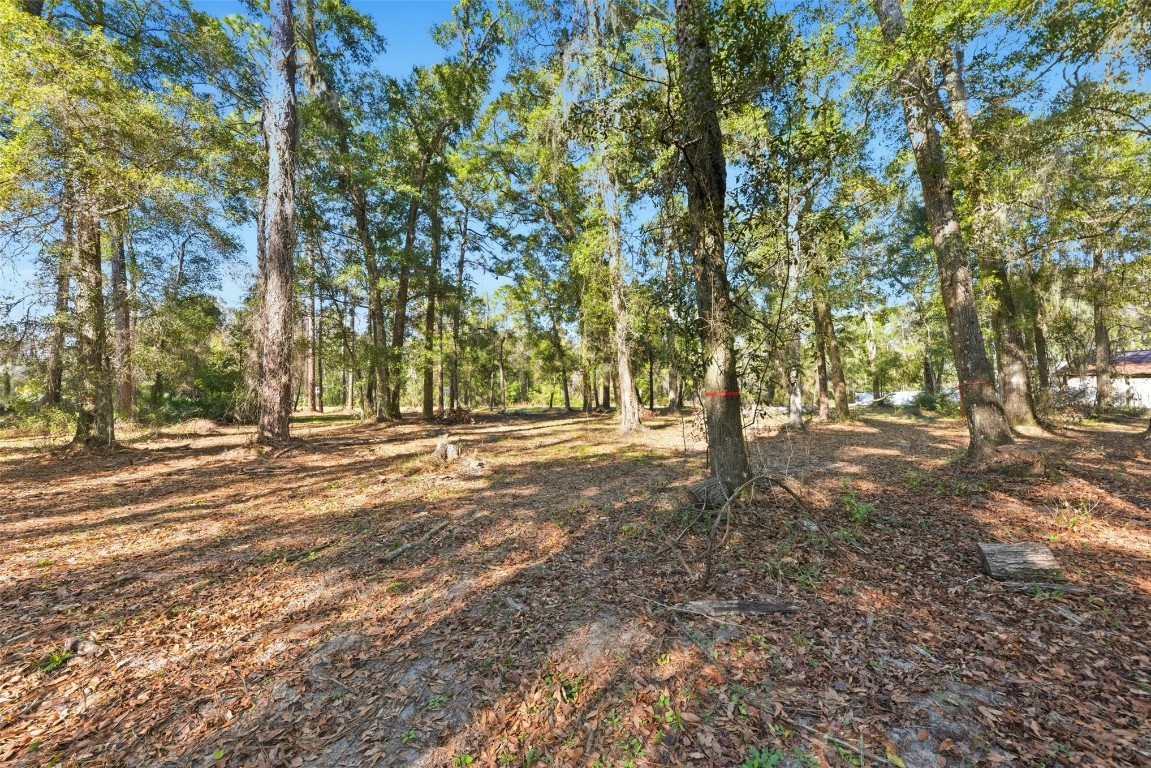 Pages Dairy Road Yulee, FL 32097 - Photo 3 of 11 a view of outdoor space with trees