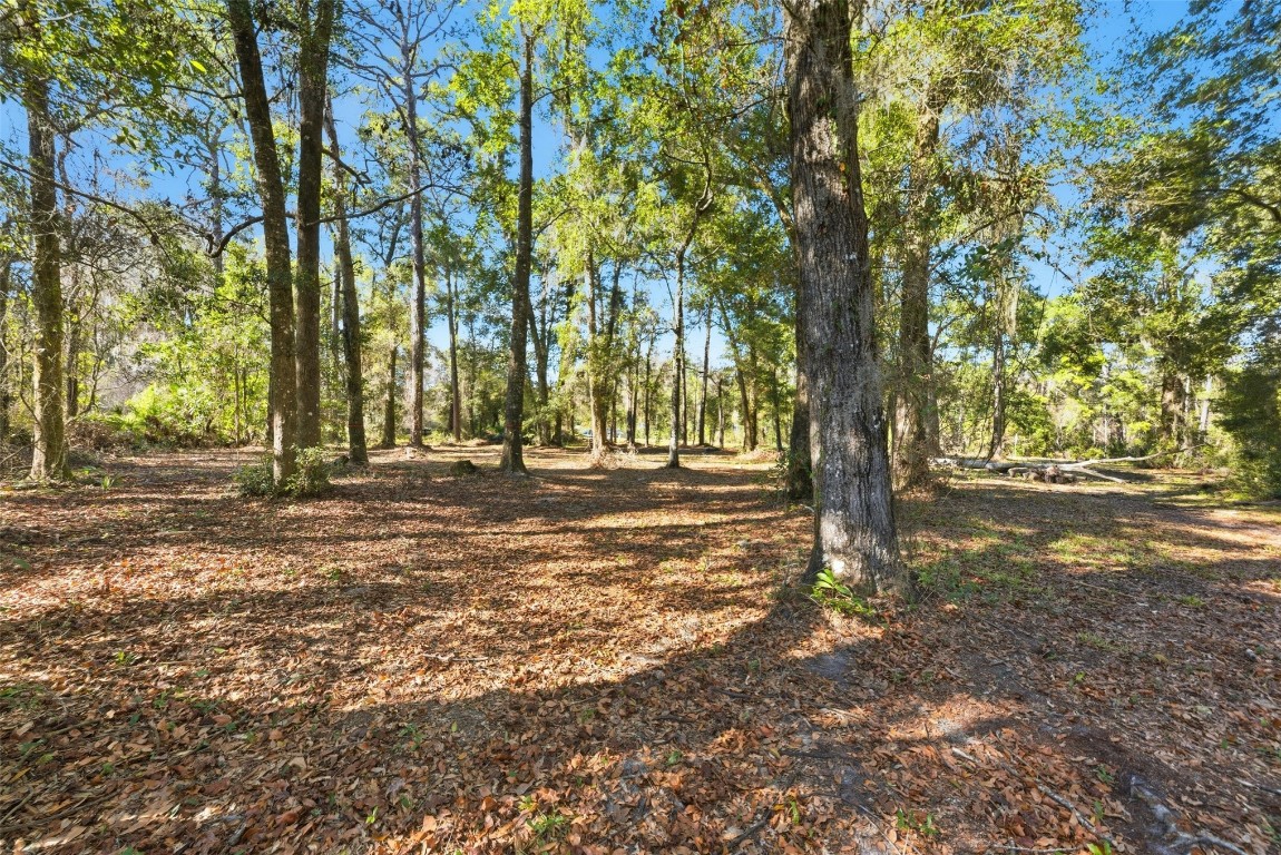 Pages Dairy Road Yulee, FL 32097 - Photo 4 of 11 a view of outdoor space with trees
