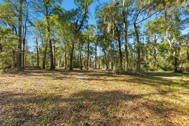 a view of outdoor space with trees