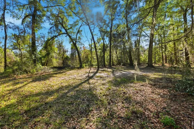 a view of outdoor space with trees