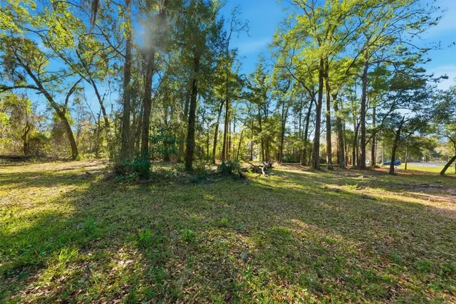 a view of outdoor space with deck and trees