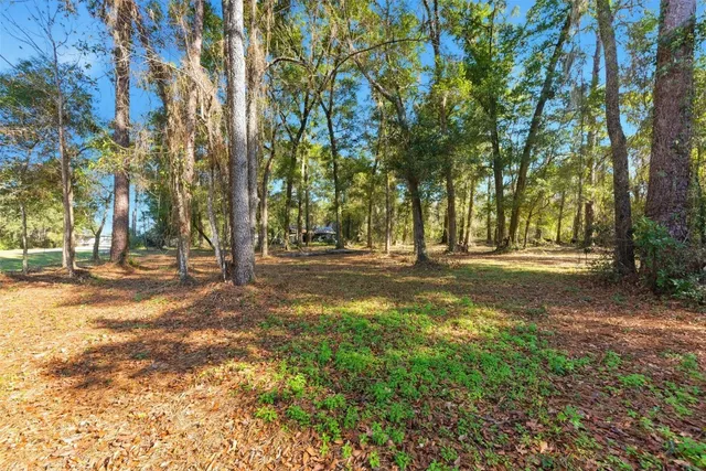 a view of a yard with wooden fence
