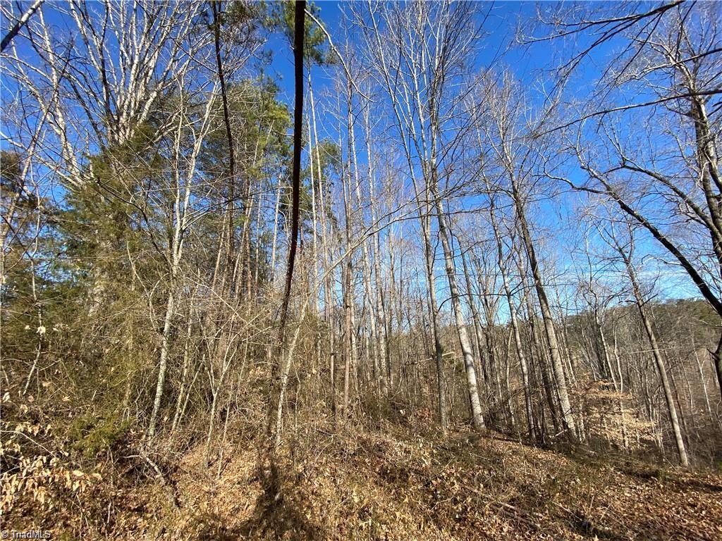 2.30-acres Dillard Road Madison, NC 27025 - Photo 3 of 6