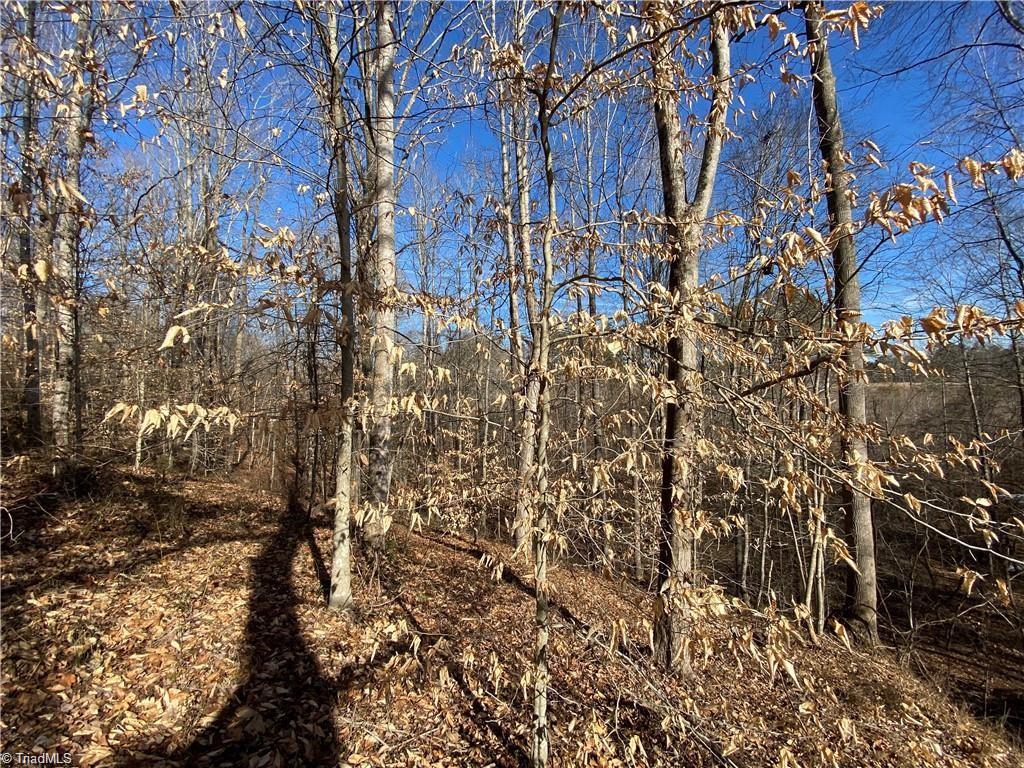 2.30-acres Dillard Road Madison, NC 27025 - Photo 4 of 6