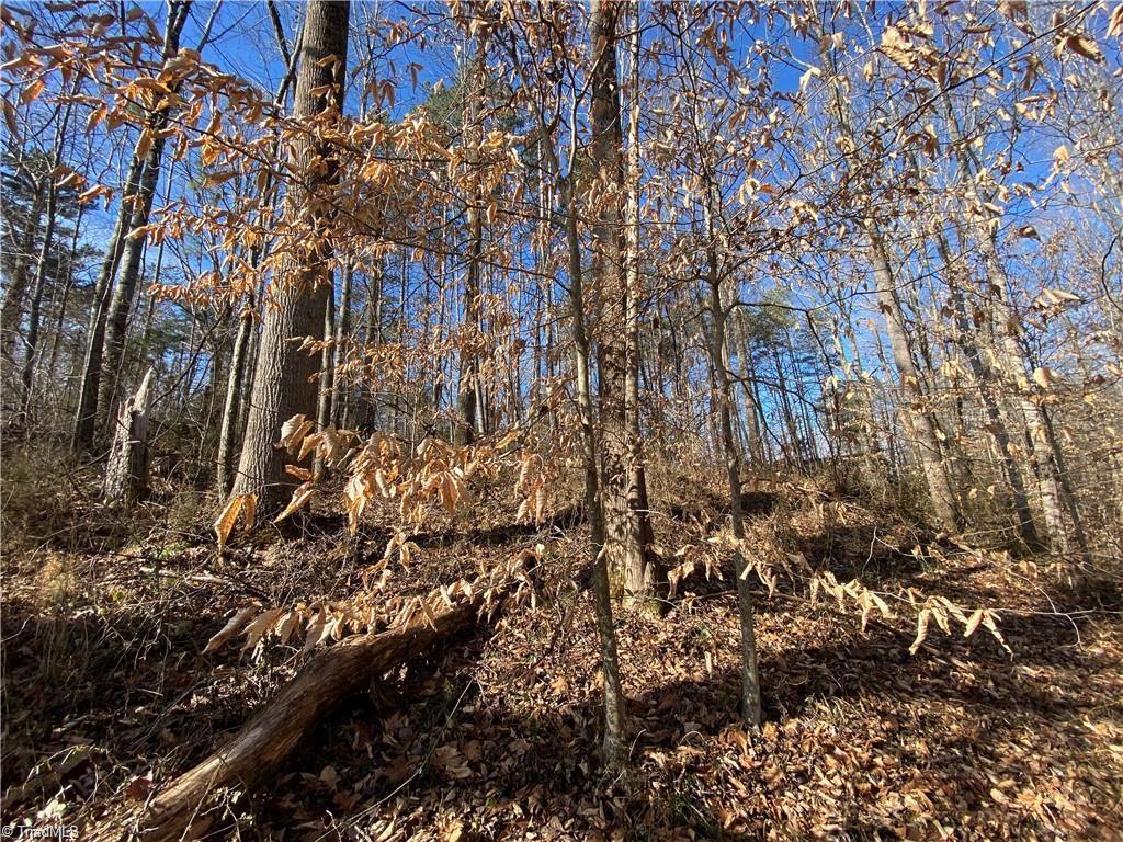 2.30-acres Dillard Road Madison, NC 27025 - Photo 5 of 6