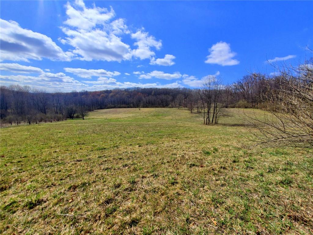 0 Cruikshank Road Cabot, PA 16023 - Photo 3 of 17