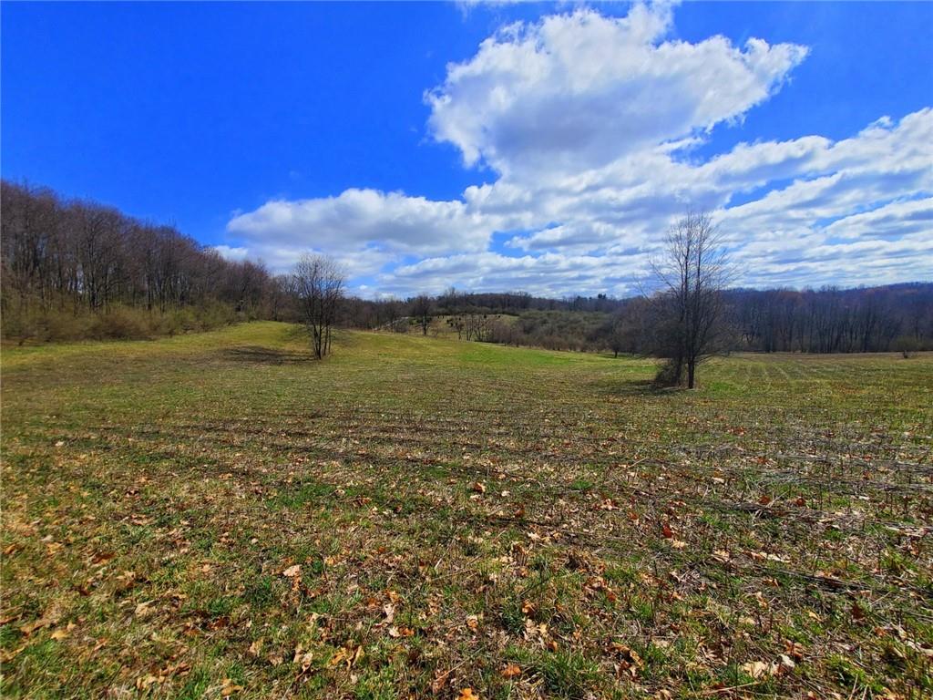 0 Cruikshank Road Cabot, PA 16023 - Photo 4 of 17