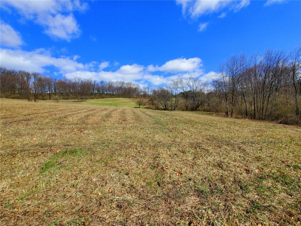 0 Cruikshank Road Cabot, PA 16023 - Photo 8 of 17