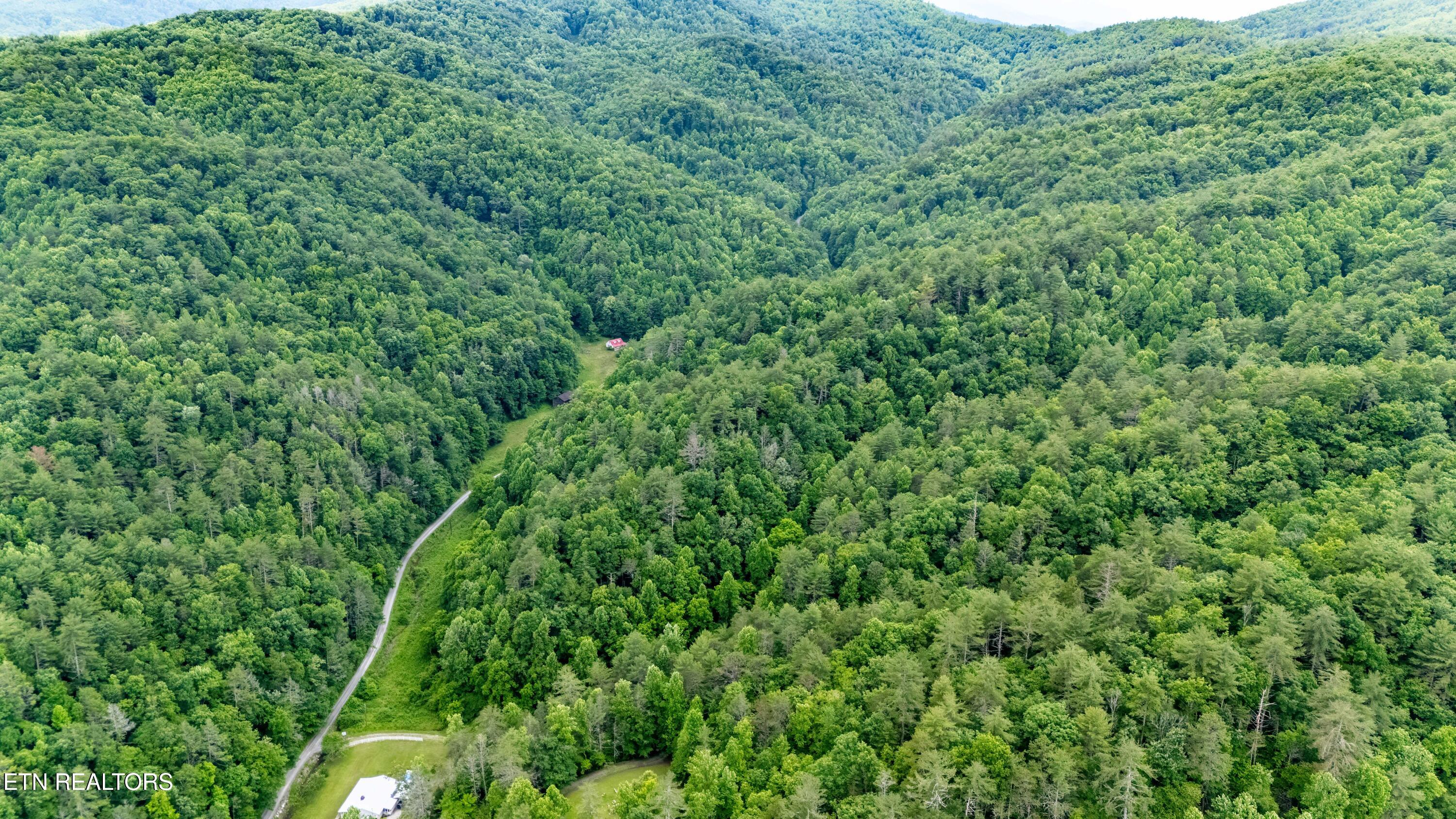 Johns Creek Road Del Rio, TN 37727 - Photo 11 of 17 DJI_20260602130844_0312_D-HDR-Edit
