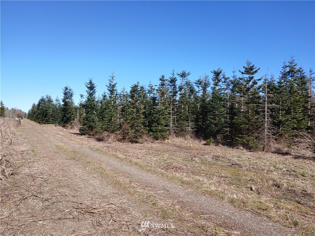 64 Barrett Road North Montesano, WA 98563 - Photo 3 of 4 Gallery Image 3