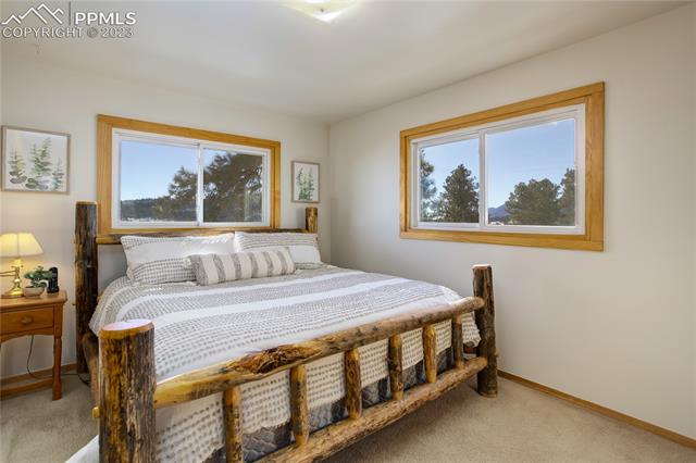 4 Columbine Road Larkspur, CO 80118 - Photo 20 of 39 Gallery Image 20