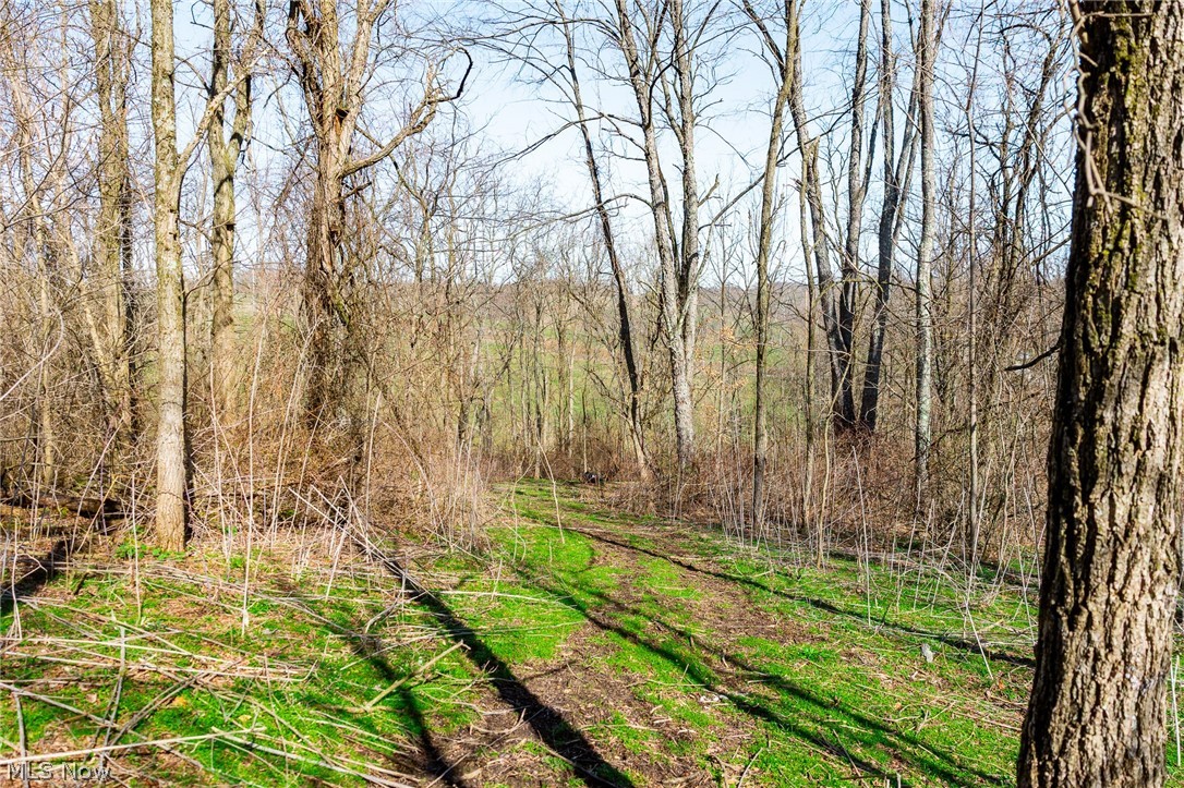 135 Township Road Adena, OH 43901 - Photo 12 of 47