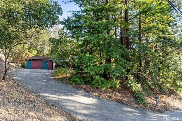 a couple of flower plants in front of a house