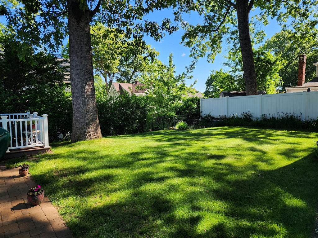 235 Chalmers Street Springfield, MA 01118 - Photo 3 of 29