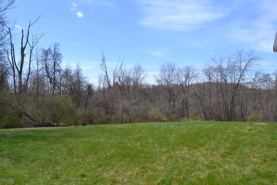 12390 Dodds Road Southeast Heath, OH 43056 - Photo 8 of 34 Yard