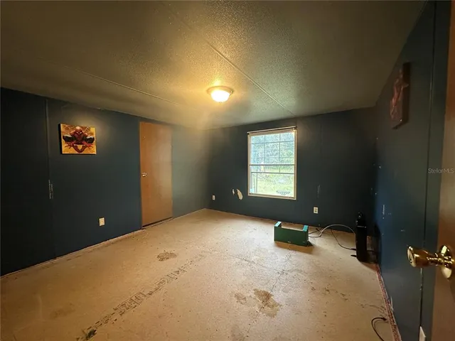 a view of a yard with plants and large trees