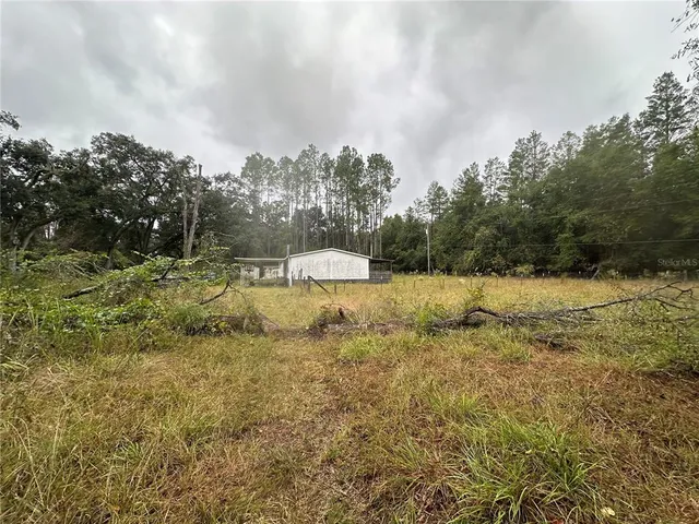 a view of backyard with green space
