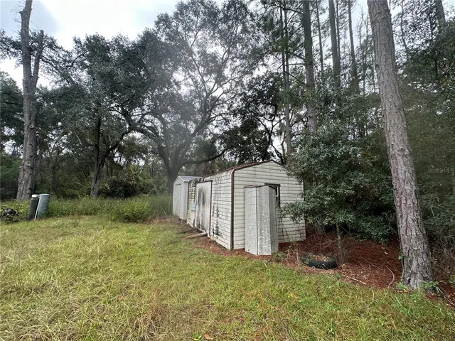a view of a forest with trees in the background