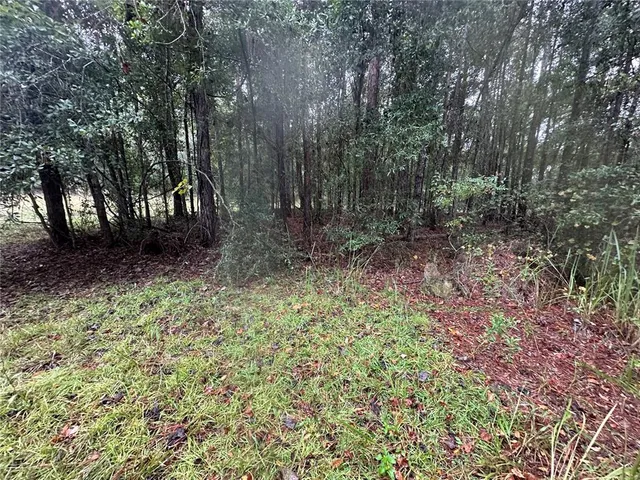 $165,000 | 1160 Southwest Dyal Avenue, Lake City, FL 32024