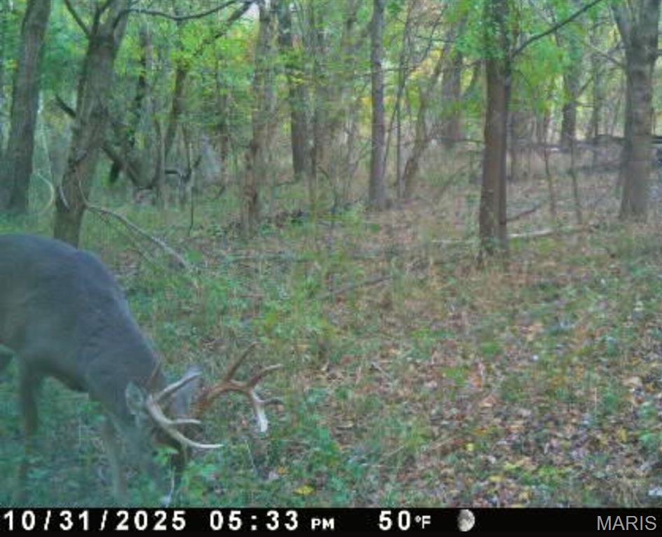 0 Church Road Salem, IL 62881 - Photo 27 of 29