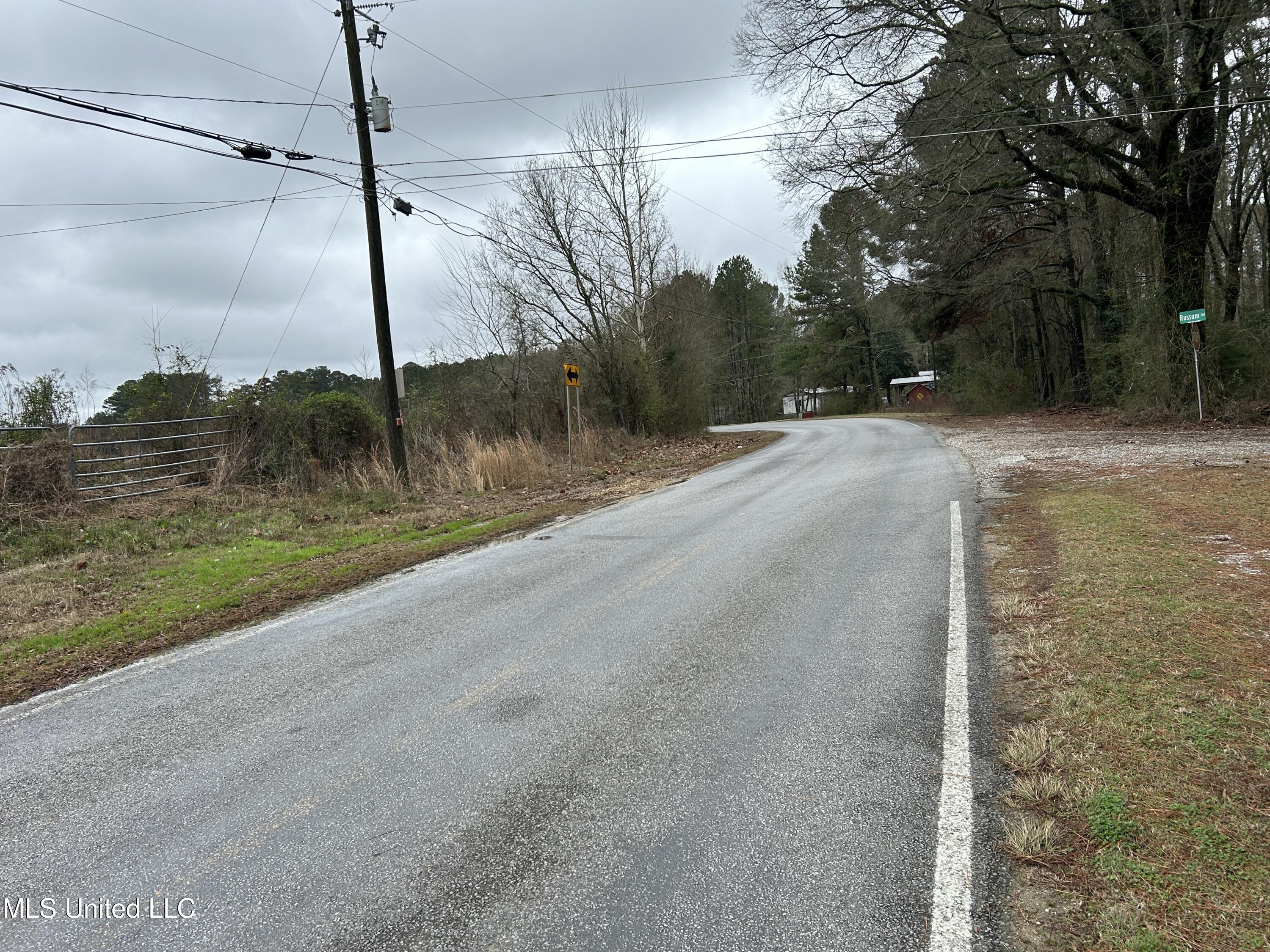 3677 Old Hillsboro Road Forest, MS 39074 - Photo 2 of 4 IMG_2561