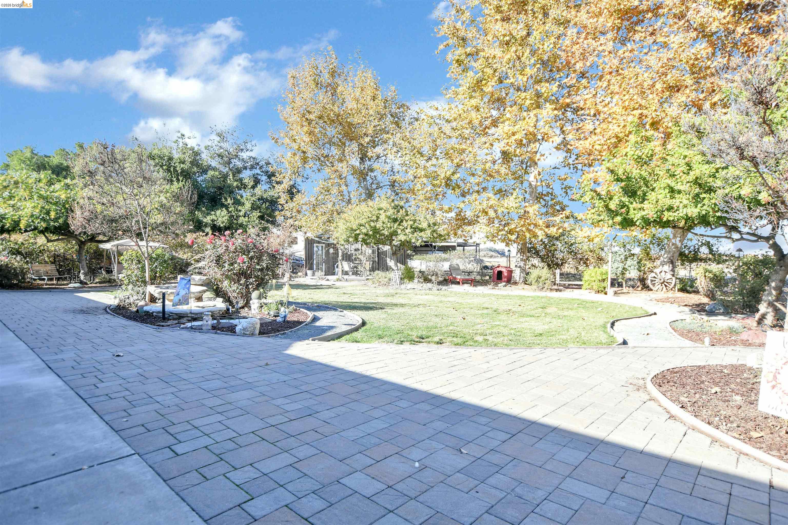 23751 Marsh Creek Road Brentwood, CA 94513 - Photo 33 of 49 a view of yard with tree s