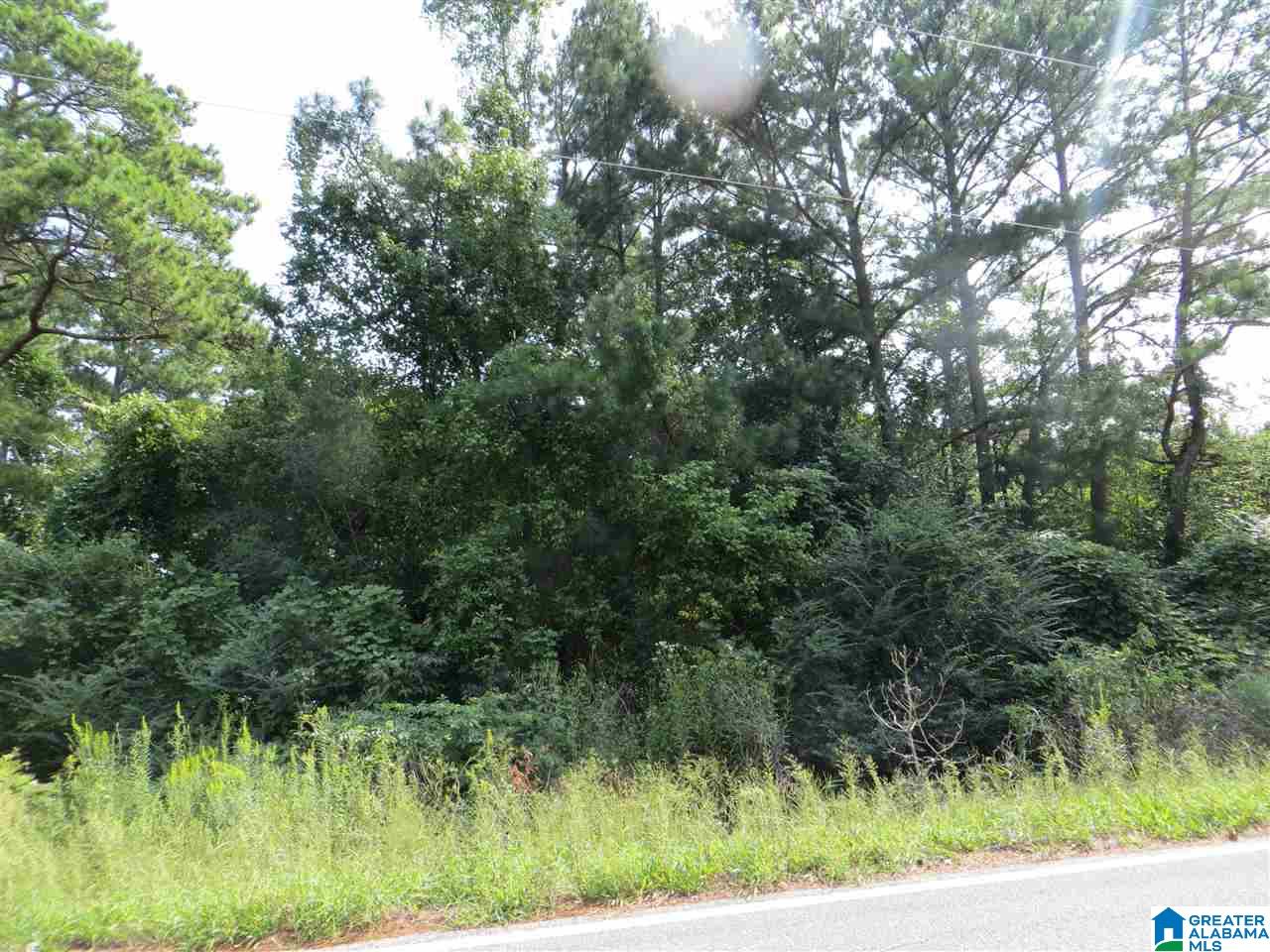 801 Cedar Springs Road, Unit Z AC Weaver, AL 36277 - Photo 14 of 19