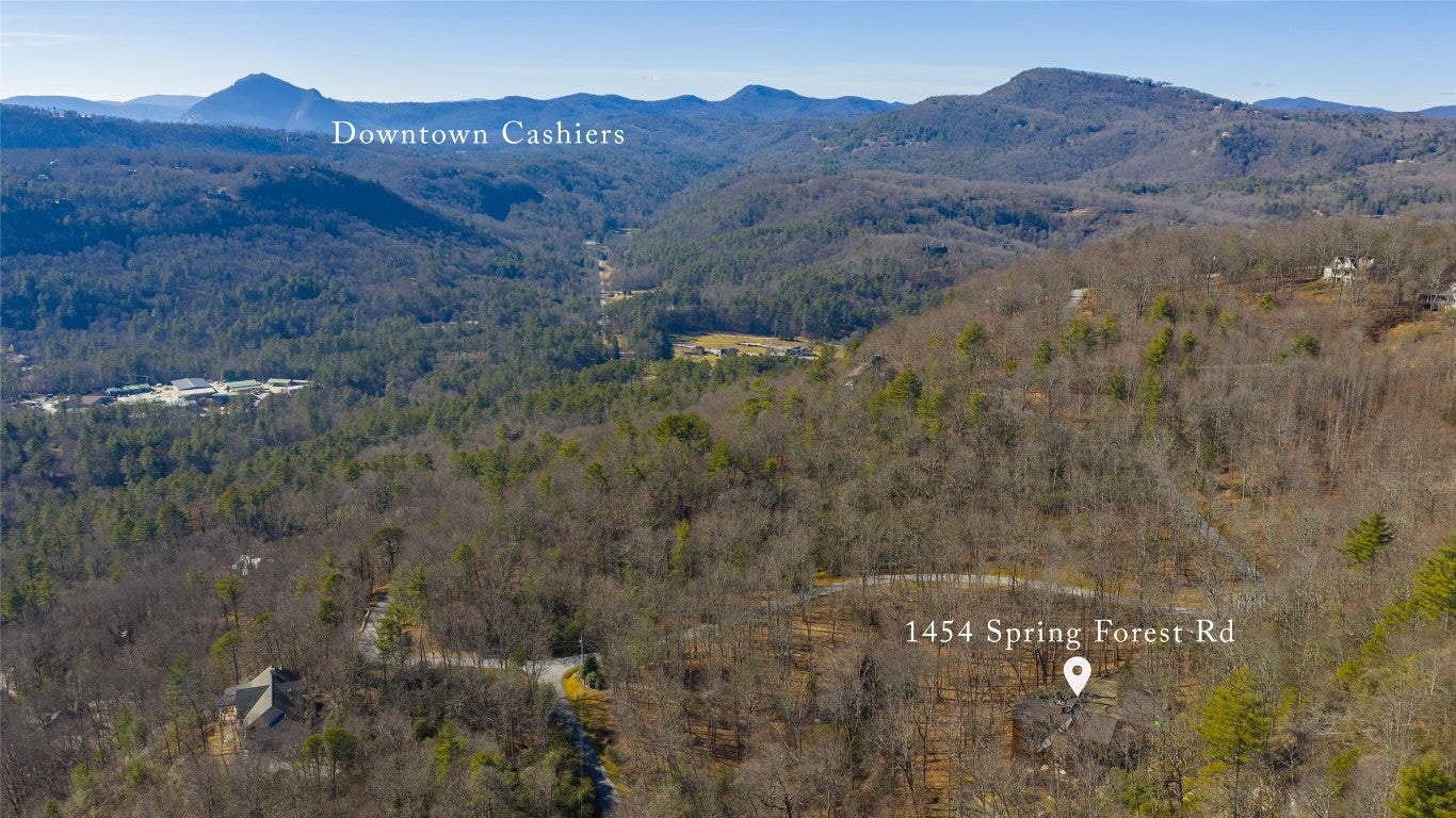 1454 Spring Forest Road Sapphire, NC 28774 - Photo 66 of 73 Gallery Image 66