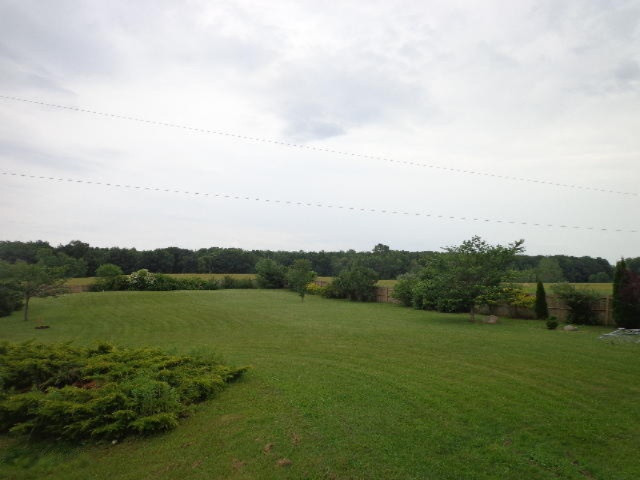 9045 Lemon Road Bancroft, MI 48414 - Photo 24 of 24 DSC09736