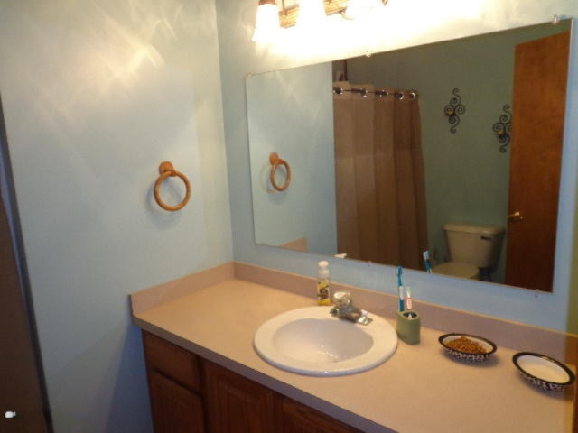 9045 Lemon Road Bancroft, MI 48414 - Photo 4 of 24 DSC09707