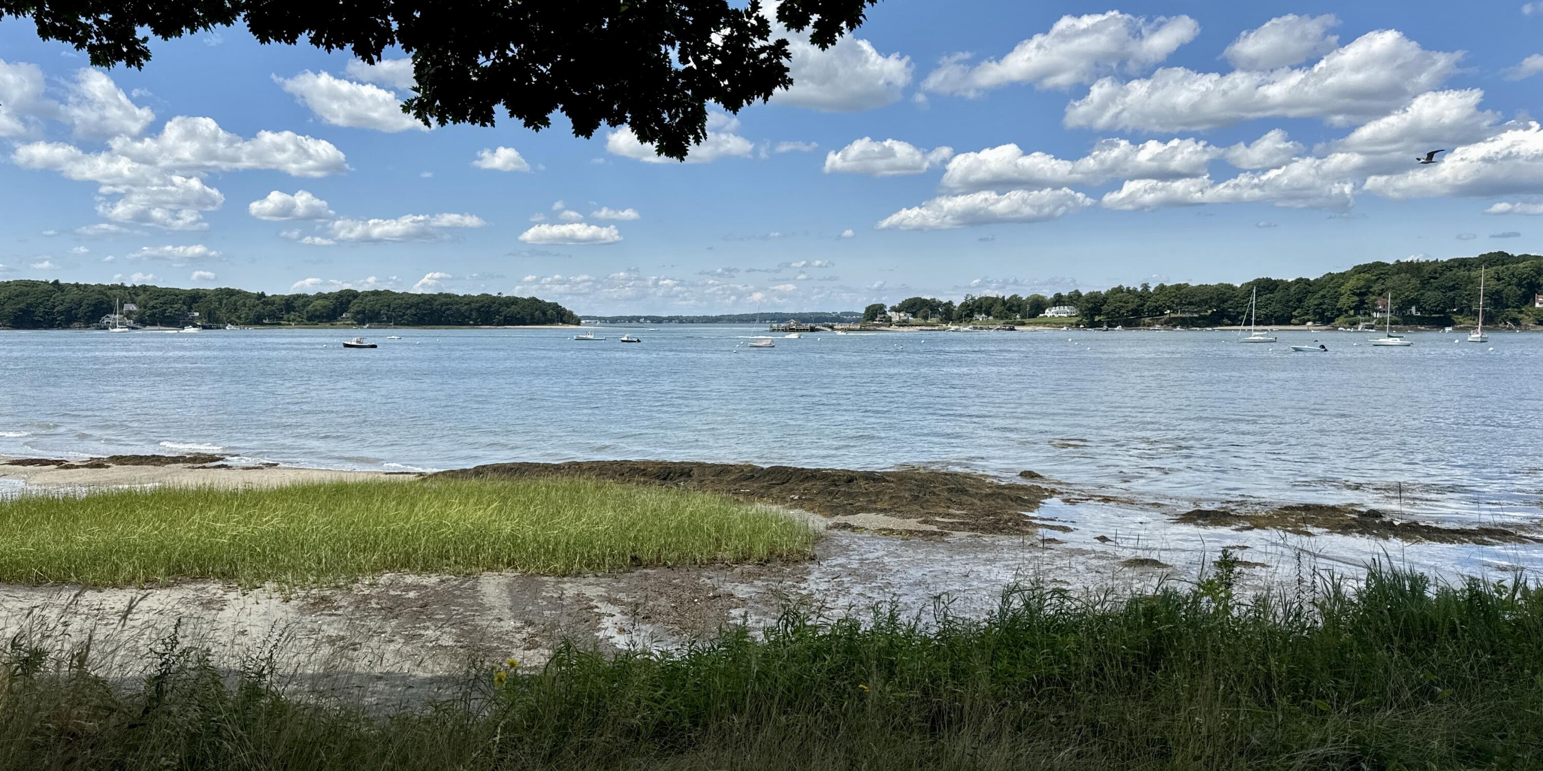 494 Island Avenue Portland, ME 04108 - Photo 11 of 34 From Lawn