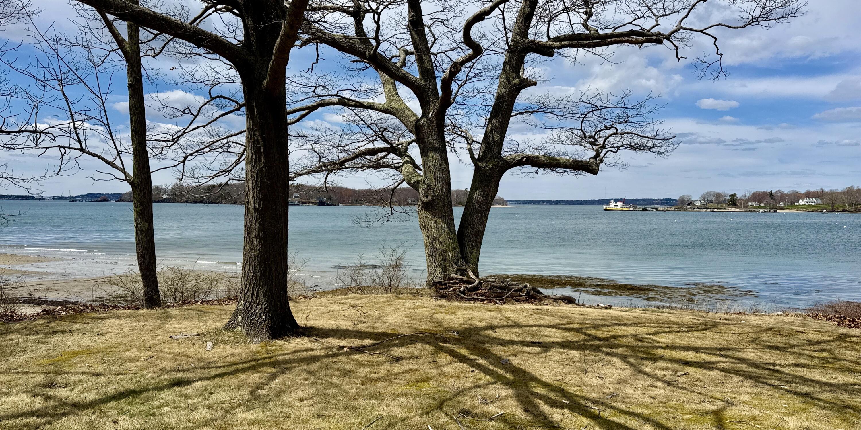 494 Island Avenue Portland, ME 04108 - Photo 10 of 34 DJI_20260421_122516_921
