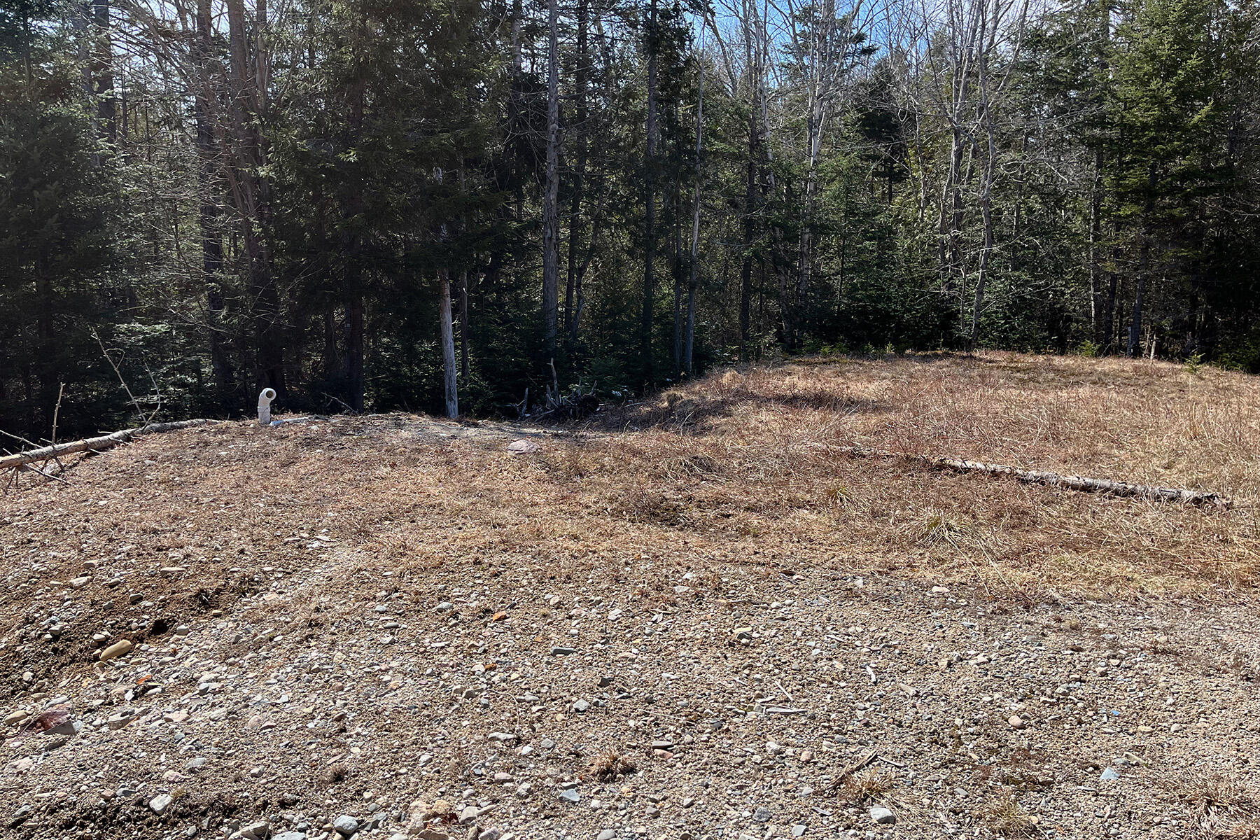 341 Summer Harbor Road Winter Harbor, ME 04693 - Photo 2 of 19 Septic system in place