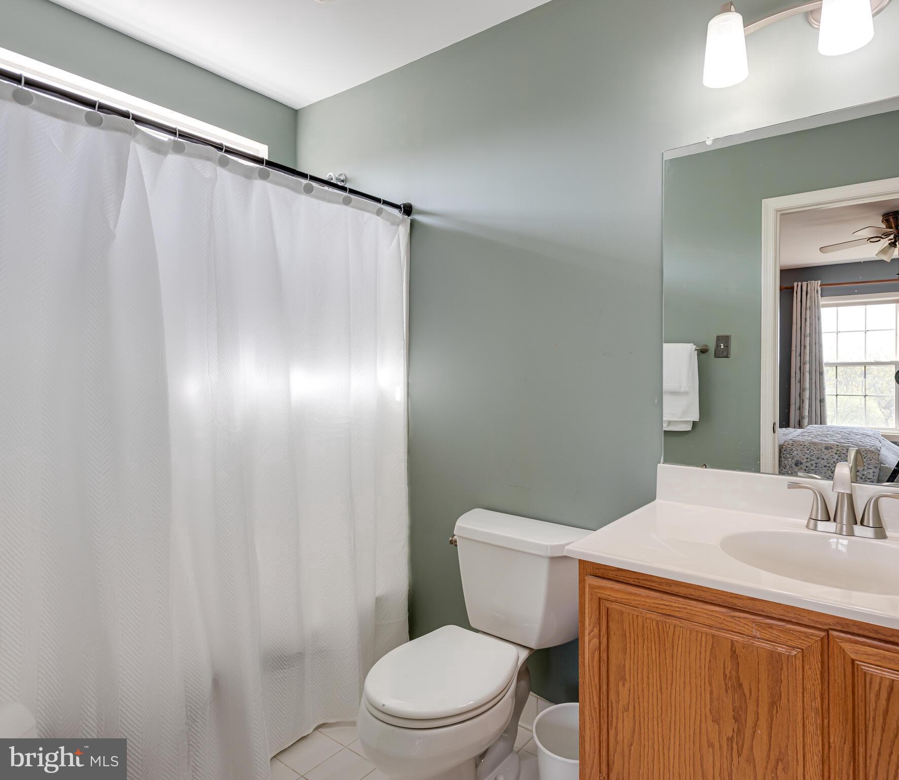 1180 Rupert Road Pottstown, PA 19464 - Photo 35 of 51 a bathroom with a sink a toilet a mirror and shower curtain