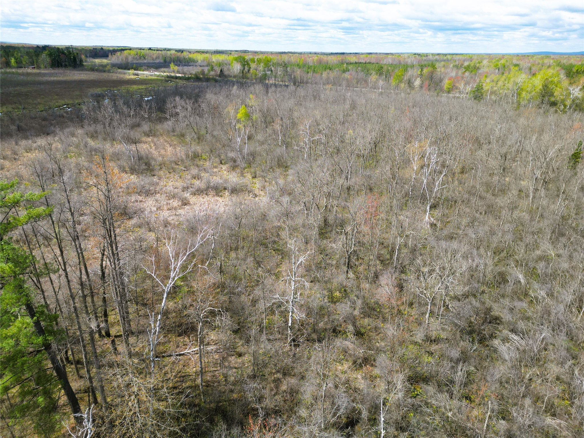 36.5-acres East Cedarbrook Road Ladysmith, WI 54848 - Photo 11 of 18