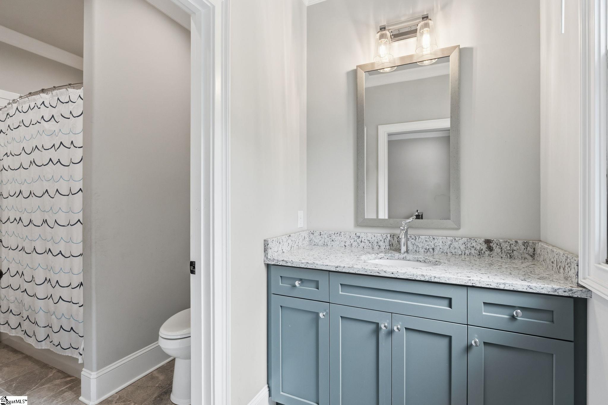 14 Welling Circle Greenville, SC 29607 - Photo 23 of 50