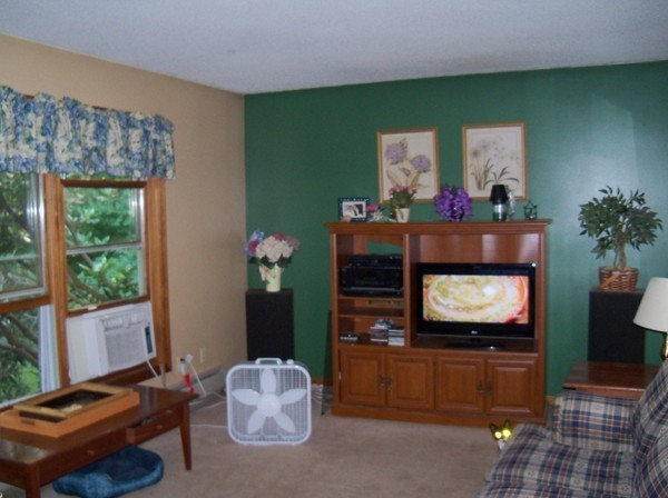 43 Hollow Road Wales, MA 01081 - Photo 5 of 10 Gallery Image 5