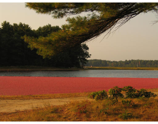 609 Marys Pond Road Rochester, MA 02770 - Photo 3 of 18 a view of lake and mountain