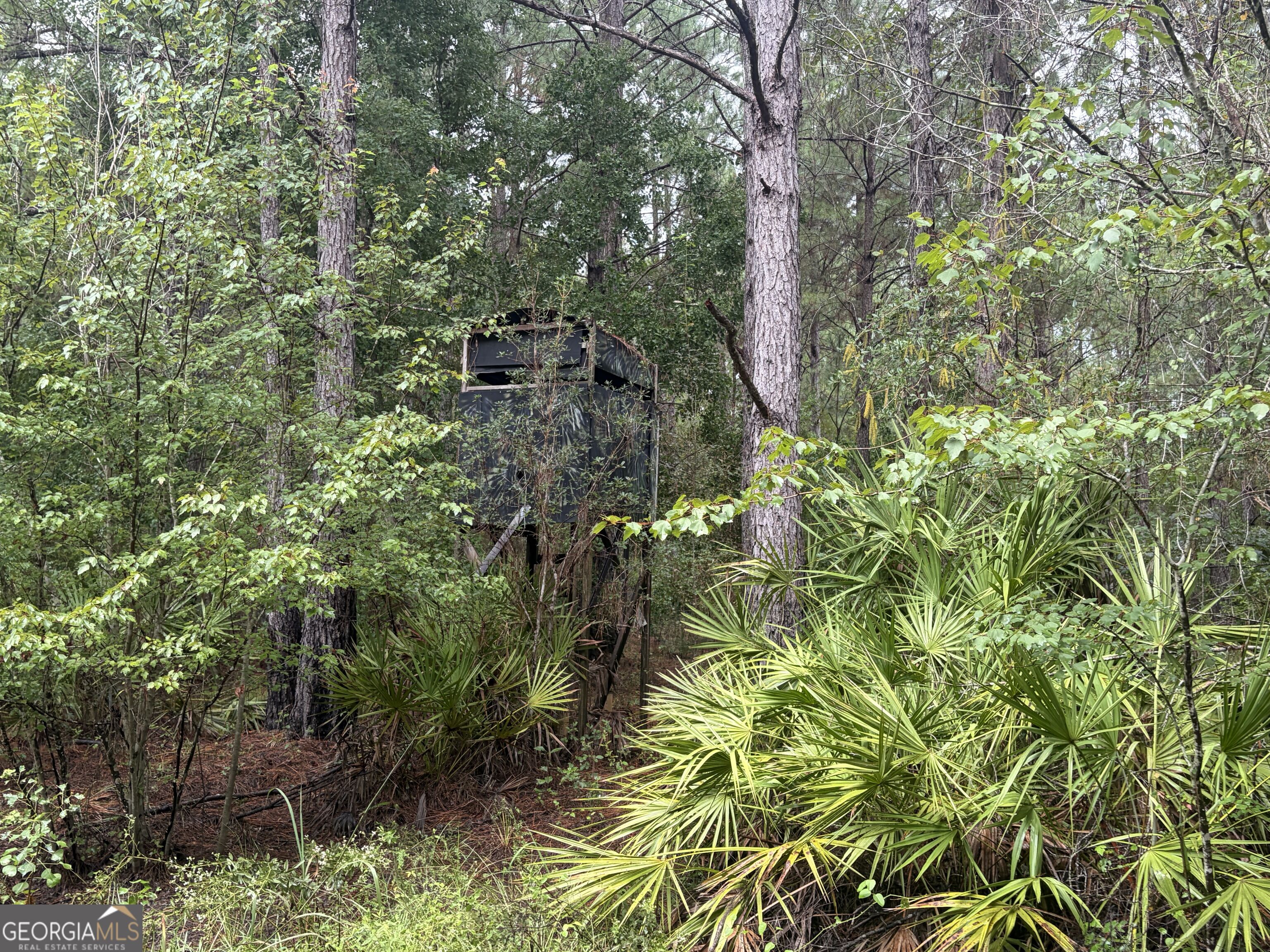 0 Jamestown Road Waycross, GA 31503 - Photo 20 of 92 Gallery Image 20