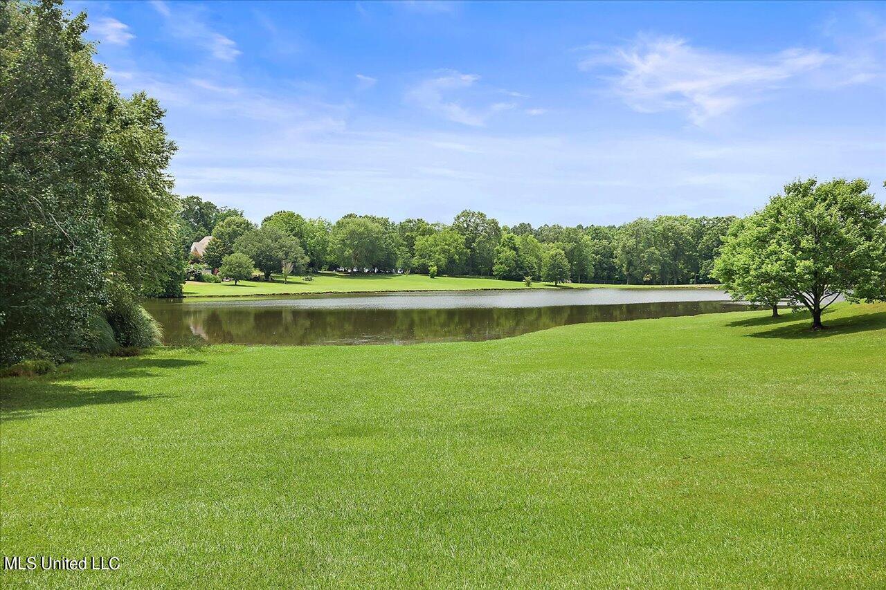 124 Dominion Parkway Brandon, MS 39042 - Photo 60 of 64 10-124 Dominion Pkwy