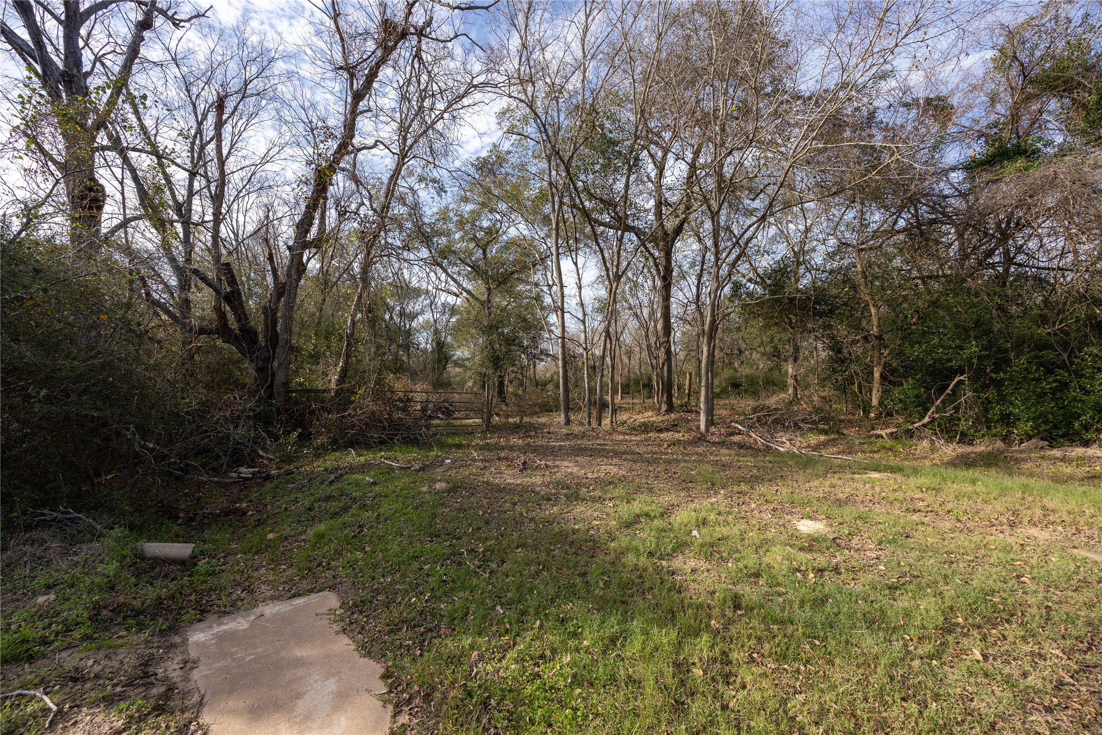 9 Baker Street Hempstead, TX 77445 - Photo 5 of 14 a view of a yard with trees