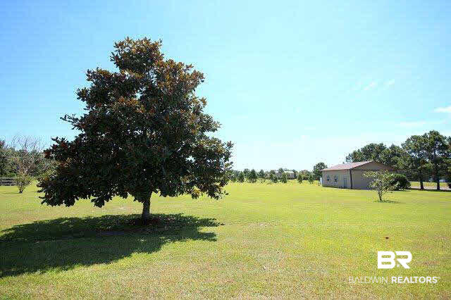 25092 Austin Road Daphne, AL 36526 - Photo 37 of 40 Back Yard View