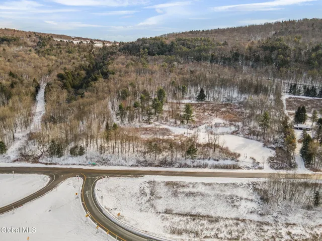 $50,000 | L13 Co Highway 56, Schenevus, NY 12155