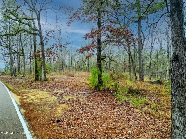 $87,500 | Mullican Road, Florence, MS 39073