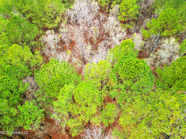 $87,500 | Mullican Road, Florence, MS 39073