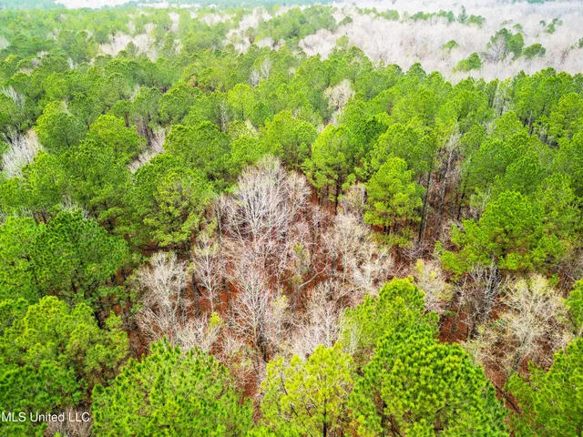 $87,500 | Mullican Road, Florence, MS 39073