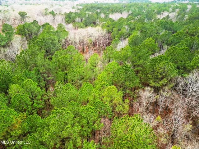 $87,500 | Mullican Road, Florence, MS 39073